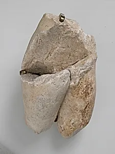 Fragment of a Male Torso