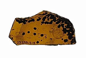 Glass Fragment