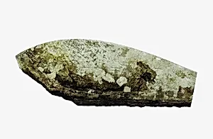Glass Fragment