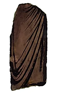 Glass Fragment