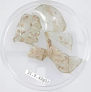 Glass Fragments
