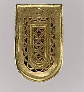 Gold Belt Buckle and Strap End