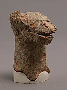 Head of Camel
