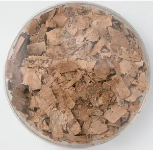 Papyri Fragments