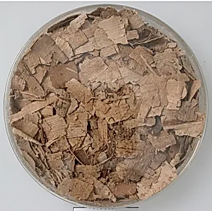 Papyri Fragments
