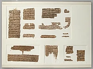 Papyri Fragments
