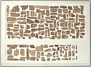 Papyri Fragments