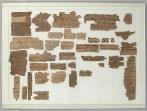 Papyri Fragments