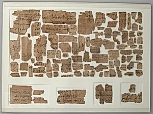 Papyri Fragments