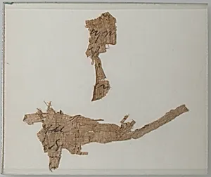 Papyri Fragments