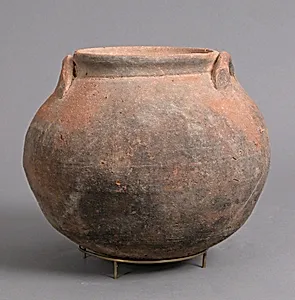 Pot