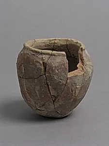 Pot