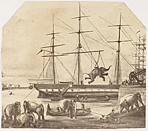 [A Cargo of Seventy Elephants Landing from Burmah during the 1857 Mutiny] by Unknown