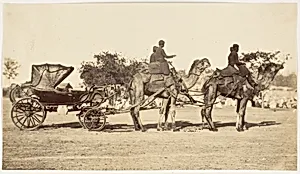 [ A Travelling Camel Carriage from Lahore to Peshawar, Governor General's Camp] by Unknown