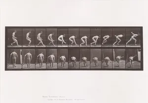 Animal Locomotion. An Electro-Photographic Investigation of Consecutive Phases of Animal Movements. Commenced 1872 - Completed 1885. Volume I, Men (Nude)