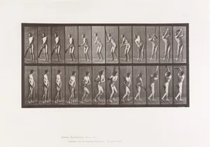 Animal Locomotion. An Electro-Photographic Investigation of Consecutive Phases of Animal Movements. Commenced 1872 - Completed 1885. Volume II, Men (Nude)