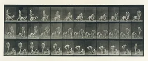 Animal Locomotion. An Electro-Photographic Investigation of Consecutive Phases of Animal Movements. Commenced 1872 - Completed 1885. Volume IV, Women (Nude)