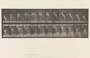 Animal Locomotion. An Electro-Photographic Investigation of Consecutive Phases of Animal Movements. Commenced 1872 - Completed 1885. Volume V, Man (Pelvis Cloth)