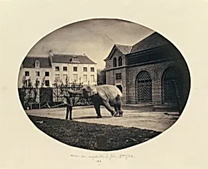 Another Impossible Task by Louis-Pierre-Théophile Dubois de Nehaut