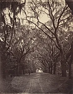 Bonaventure Cemetery, Four Miles from Savannah