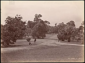 Botanical Garden by Unknown