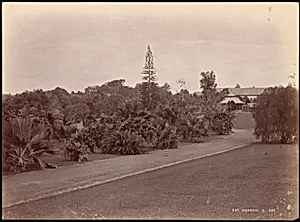 Botanical Garden by Unknown
