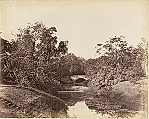 [Botanical Gardens, Calcutta] by Captain R. B. Hill
