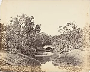 [Botanical Gardens, Calcutta] by Captain R. B. Hill