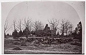 [Cache of Cannon]. Brady album, p. 123 by Mathew B. Brady|Unknown