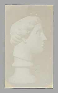 [Classical Head in Profile]