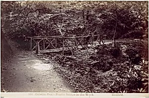 Colwyn Bay. Rustic Bridge in the Wood