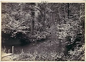 Colwyn Bay. The Pool in the Wood