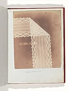 Cordella o Nastro a velo by William Henry Fox Talbot