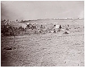 [Distant View of Fort Brady, Virginia]
