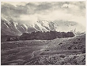 Distant View of the Cedars of Lebanon by Francis Frith