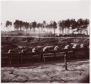 [Entrenchments on Left of Bermuda Hundred Lines, Near Richmond, Virginia]