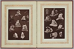 Fashions 1837-1887