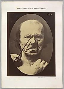 Figure 18: Aggression, wickedness