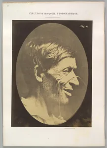 Figure 42: Gaiety expressed by the ideas of lustfulness, cynicism, and lewdness. 