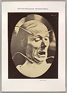 Figure 62: Terror, semiprofile