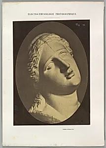 Figure 73: Head of Niobe