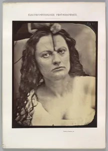 Figure 81: Lady Macbeth, moderate expression of cruelty