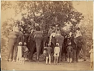[Four Elephants with Western Travellers and Attendants, Jaipur, India] by Unknown