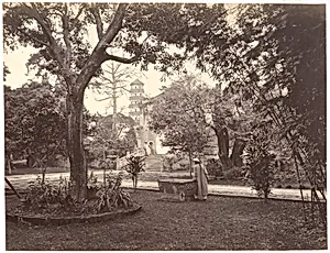 Garden at the English Consulate, Canton by John Thomson