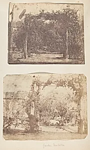 [Garden at Umballa] by Unknown