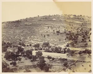 [Garden of Gethsemane and the Tomb of the Virgin, Jerusalem]