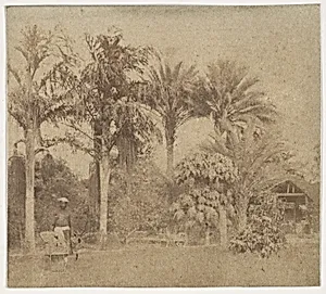 [Gardens, Government House, Allahabad] by John Constantine Stanley