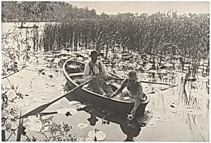 Gathering Water-Lilies