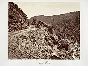 Geyser Road by Carleton E. Watkins