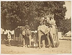 [Governor General's State Elephant and Silver Howdah] by Unknown
